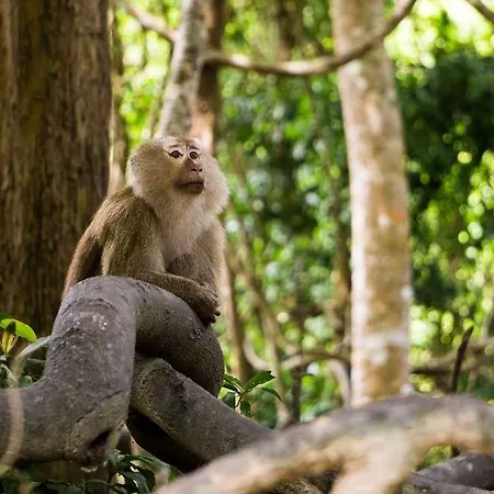 The Originals City, Agora, Nantes Ouest 2*