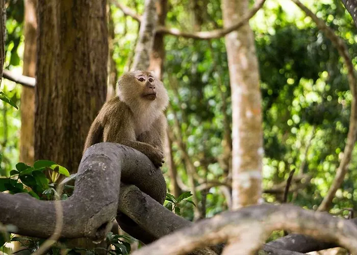 The Originals City, Agora, Nantes Ouest 2*